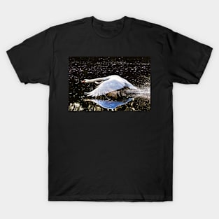 Mute Swan in flight T-Shirt